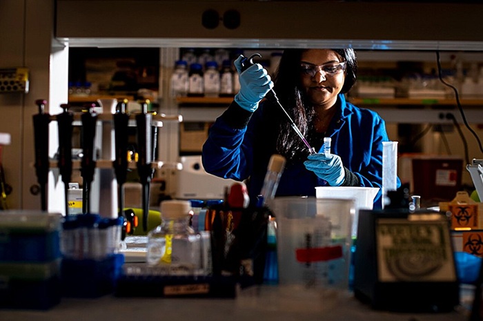 Image: Ambika Bajpayee and her team at Northeastern developed a patented contrast agent 100× more efficient than current options (photo courtesy of Ruby Wallau/Northeastern University)