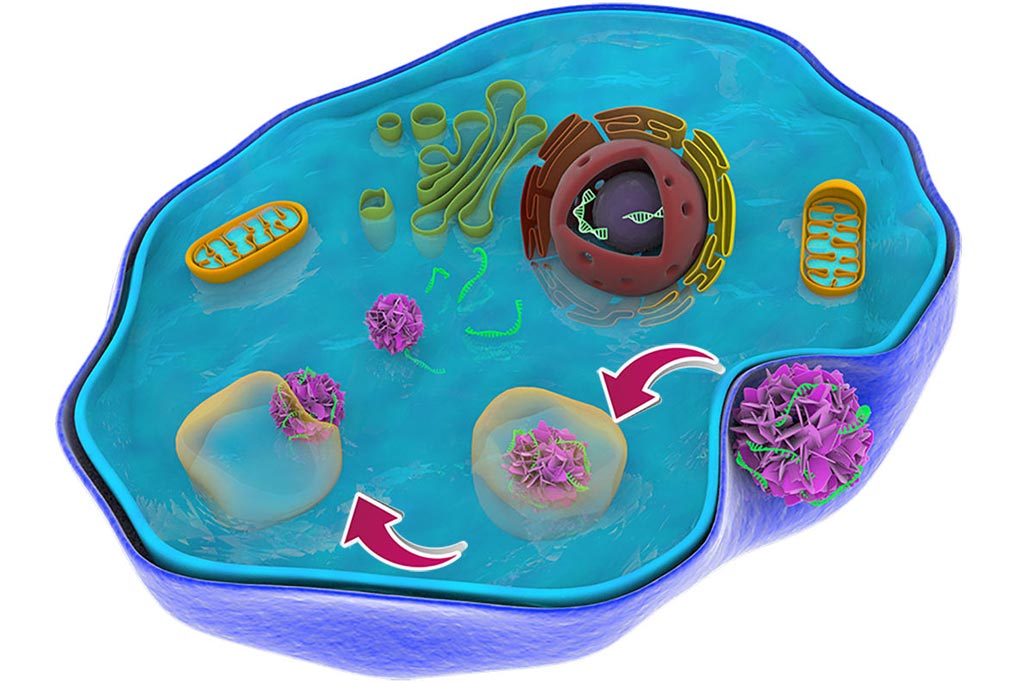 Image: A representation of the movement of the flower-like particle as it makes its way to deliver therapeutic genes (Photo courtesy of Washington State University). Image: A representation of the movement of the flower-like particle as it makes its way to deliver therapeutic genes (Photo courtesy of Washington State University).