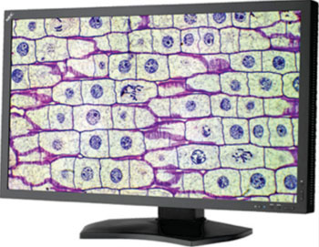 Imagen: El monitor para visualización MD322C8 (Fotografía cortesía de NEC Display Solutions). Imagen: El monitor para visualización MD322C8 (Fotografía cortesía de NEC Display Solutions).