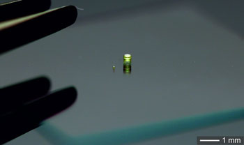 Imagen: Un sistema de lentes múltiples con un diámetro de 600 micras junto a un doblete de lentes con un diámetro de 120 micras (Fotografía cortesía de Timo Gissibl / Universidad de Stuttgart).
