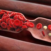 Imagen: Un estudio nuevo afirma que los anticoagulantes pueden reducir los posibles peligros cardiovasculares en pacientes con insuficiencia cardíaca (Fotografía cortesía de Fotolia).