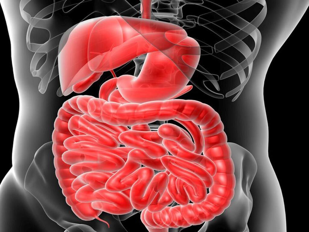 Imagen: Según un estudio nuevo, la preparación del intestino es una carga innecesaria para los pacientes quirúrgicos gastrointestinales (Fotografía cortesía de Getty Images). Imagen: Según un estudio nuevo, la preparación del intestino es una carga innecesaria para los pacientes quirúrgicos gastrointestinales (Fotografía cortesía de Getty Images).