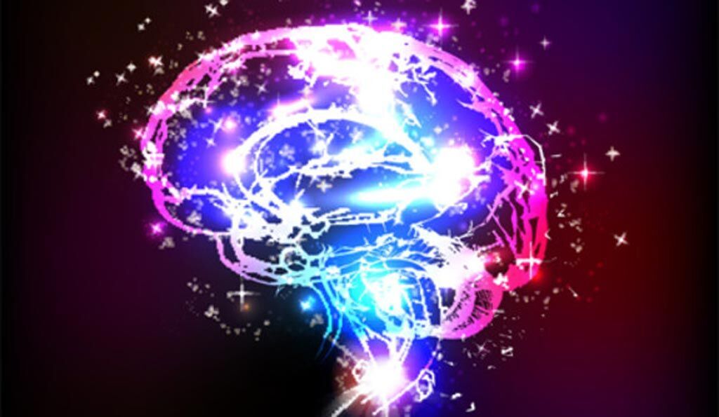 Imagen: La investigación muestra que la resonancia magnética funcional con neuroretroalimentación podría ofrecer un tratamiento potencial para el ST (Fotografía cortesía de la Universidad de Yale). Imagen: La investigación muestra que la resonancia magnética funcional con neuroretroalimentación podría ofrecer un tratamiento potencial para el ST (Fotografía cortesía de la Universidad de Yale).