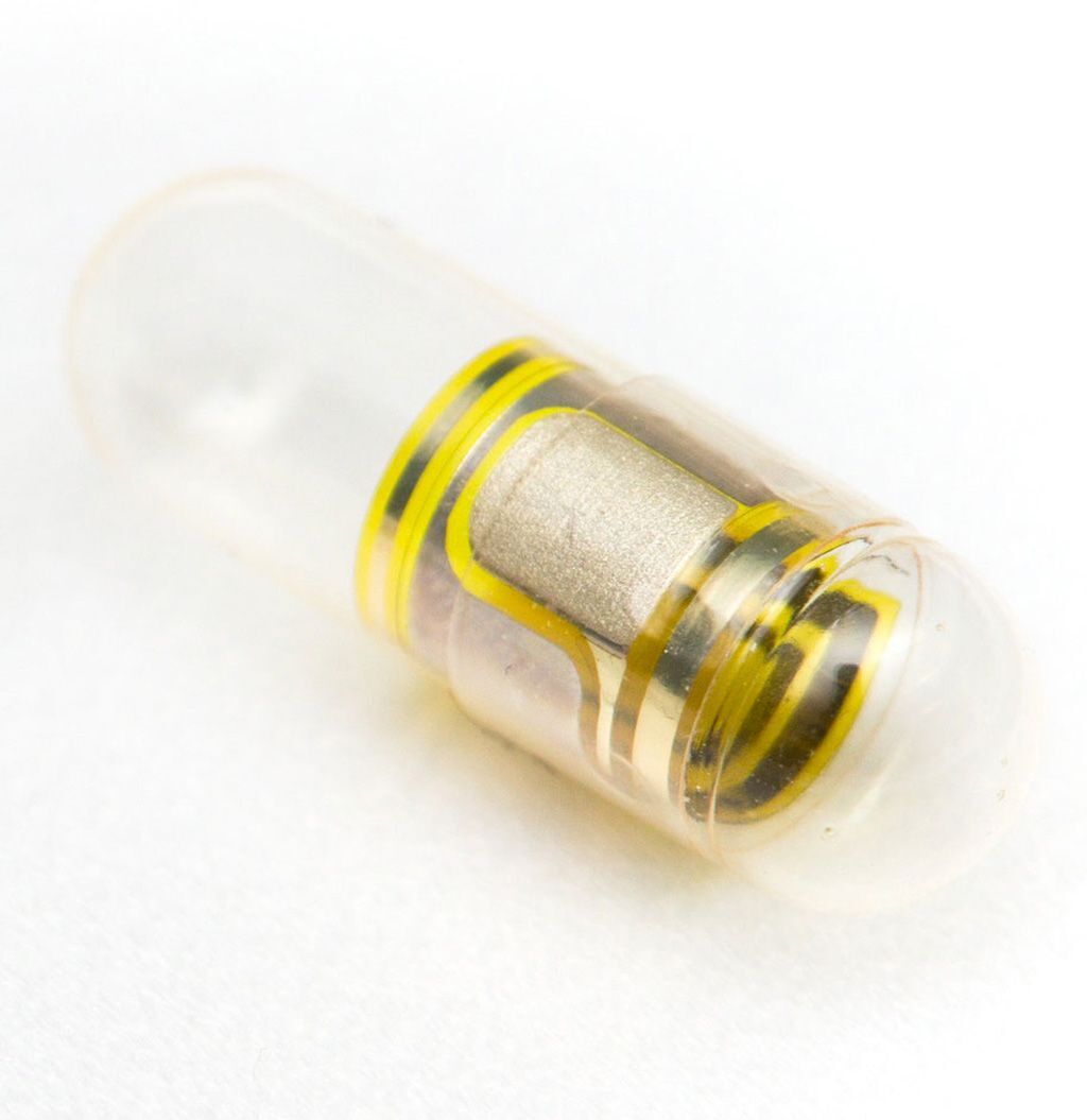 Imagen: La cápsula de gelatina ingerible marcadora de eventos, ID-Cap y la etiqueta de identificación (Fotografía cortesía de etectRx)