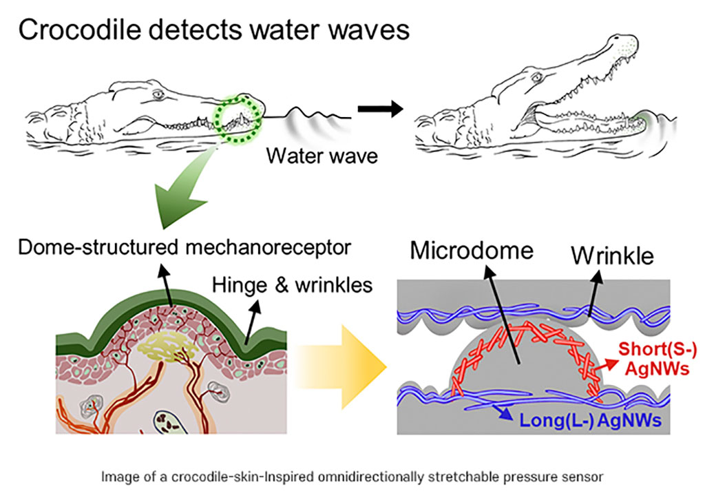 Imagen: Los investigadores han desarrollado una piel electrónica que es tan flexible como la piel de cocodrilo (Fotografía cortesía de POSTECH)