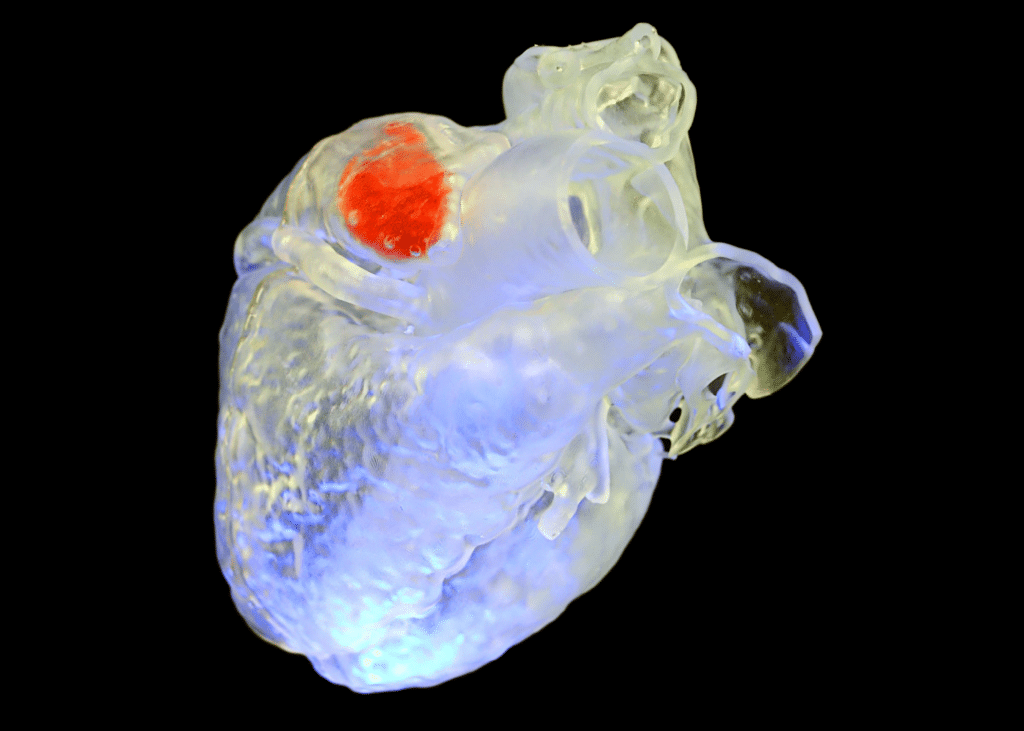 Imagen: Las ondas sonoras endurecen los tratamientos impresos en 3D en tejidos profundos (Fotografía cortesía de la Universidad de Duke)