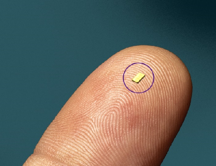 Imagen: El catéter está equipado con un microchip (foto cortesía de Autonomix Medical)