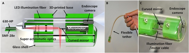 Imagen: Ilustración esquemática de MAGIC (foto cortesía de Park, et al. DOI: 10.34133/bmef.0041)