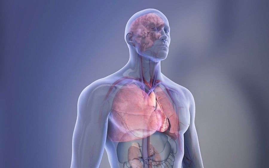 Imagen: El modelo de IA está diseñado para predecir la edad biológica de una persona basándose en datos de ECG (foto cortesía de la American Heart Association)