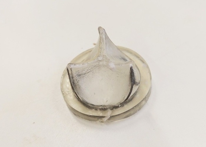 Imagen: prótesis de la válvula cardíaca obtenida por moldeo por inyección de PHOx (foto cortesía de A. Pierrard/Université de Liege) Imagen: prótesis de la válvula cardíaca obtenida por moldeo por inyección de PHOx (foto cortesía de A. Pierrard/Université de Liege)