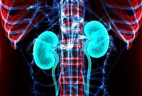Imagen: las alertas basadas en IA podrían predecir con mayor antelación las lesiones renales (Foto cortesía de 123RF)