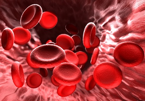 Imagen: la nueva herramienta basada en ultrasonidos mide la viscosidad sanguínea en tiempo real (Foto cortesía de Shutterstock) Imagen: la nueva herramienta basada en ultrasonidos mide la viscosidad sanguínea en tiempo real (Foto cortesía de Shutterstock)