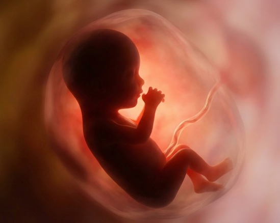 Image: parche portátil permite monitorizar los movimientos fetales en casa durante el embarazo (Fotografía cortesía de 123RF)