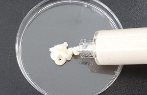 Imagen: Esta pasta pegajosa podría restaurar el volumen del seno al rellenar los espacios que quedan después de la extirpación del tumor (Fotografía cortesía de ACS Applied Bio Materials 2025, DOI: 10.1021/acsabm.5c01538)