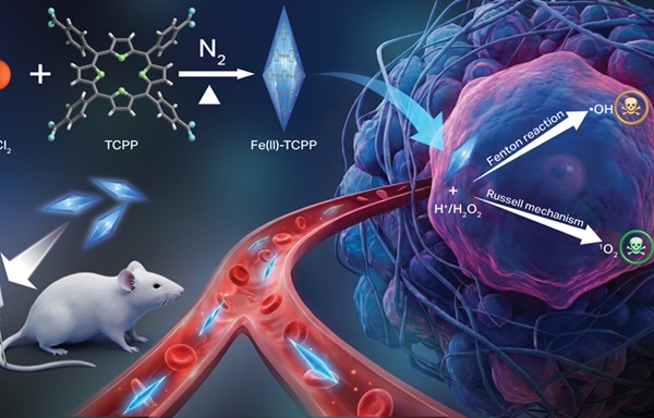 Imagen: La nanoterapia de doble reacción elimina los tumores aprovechando la química de las células cancerosas (Fotografía cortesía de la Universidad Estatal de Oregón)