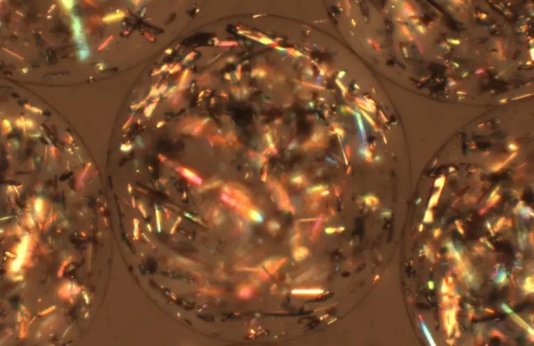 Imagen: los cristales terapéuticos diseñados protegen el implante del sistema inmunológico (Foto cortesía de Technion – Instituto Tecnológico de Israel)