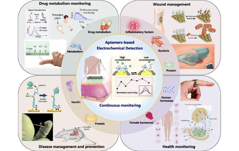 Imagen: los sensores portátiles basados ​​en aptámeros permiten la monitorización continua de biomarcadores en tiempo real (Li, X., Liu, S., Huang, X. et al. Microsyst Nanoeng 11, 241 (2025). doi.org/10.1038/s41378-025-00993-5)