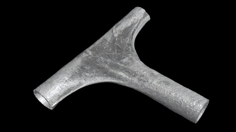 Imagen: Un ejemplo de un injerto vascular diseñado a medida (Fotografía cortesía de la Universidad de Harvard)