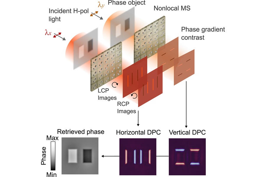 Imagen: Un objeto de fase modelado como una máscara de transmisión de fase pura y delgada se ilumina con luz polarizada horizontalmente en dos longitudes de onda diferentes (Haiwei Wang et al., Nanophotonics (2026). DOI: 10.1002/nap2.70190) Imagen: Un objeto de fase modelado como una máscara de transmisión de fase pura y delgada se ilumina con luz polarizada horizontalmente en dos longitudes de onda diferentes (Haiwei Wang et al., Nanophotonics (2026). DOI: 10.1002/nap2.70190)