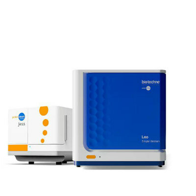 SISTEMA AUTOMATIZADO DE WESTERN BLOT