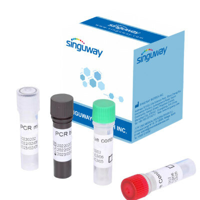 PRUEBA DE DENGUE