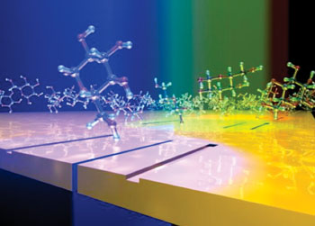 Imagen: El esquema muestra las moléculas de glucosa deslizándose a los largo de la superficie del biochip sensor iluminado por diferentes colores. El cambio en la intensidad de la luz es transmitida a través de las rendijas de cada interferómetro plasmónico y se puede usar para medir la concentración de glucosa en la saliva (Fotografía cortesía de Domenico Pacifici, PhD).