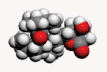 Imagen: Una ilustración de la prueba de dispersión de luz para la detección de analitos diana, NanoDLSay, midiendo el cambio en el tamaño de las nanopartículas (Fotografía cortesía de Nano Discovery).