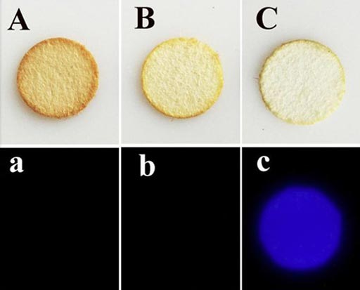 La determinación de cual mancha en estos papeles de filtro (fila superior) es de sangre (C) en lugar de café (A) o té (B) es más fácil con la nueva prueba más selectiva de quimioluminiscencia con artemisinina-luminol para la detección forense de manchas de sangre) (Fotografía cortesía de la ACS).