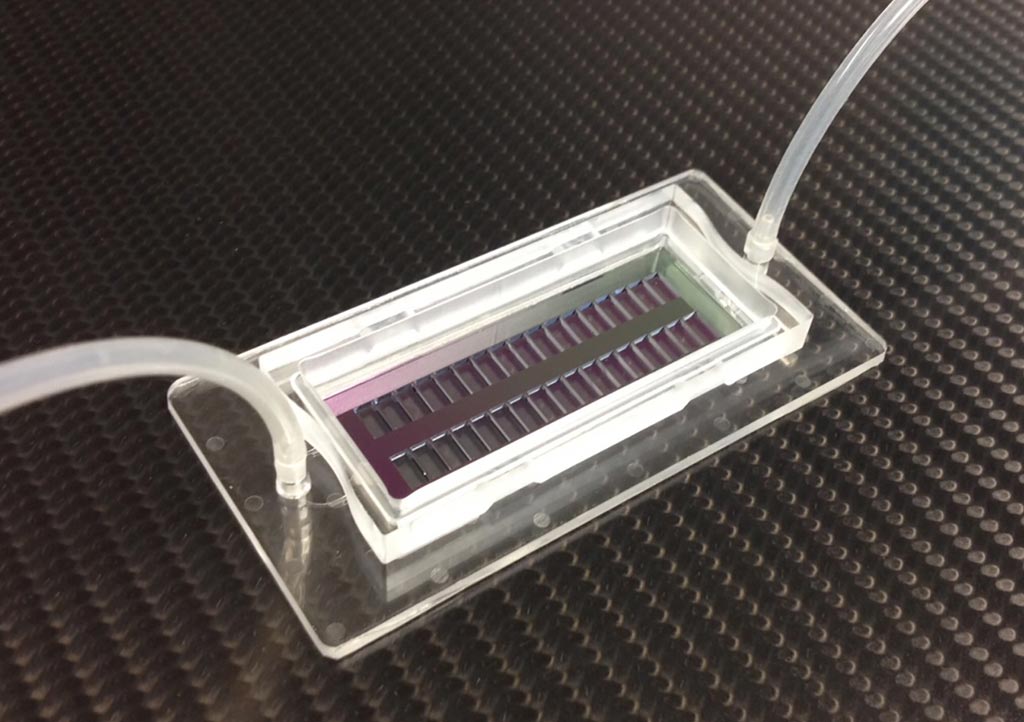 Imagen: El chip con microorificios puede ser poblado con 200.000 células individuales, cada una mantenida en su lugar en agujeros separados (Fotografía cortesía de Fraunhofer IBMT).