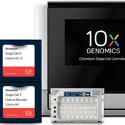 Imagen: La Solución de Expresión Génica de Célula Única Chromium proporciona mediciones de alto rendimiento de la expresión de células únicas que permiten el descubrimiento de la dinámica de la expresión génica y el análisis molecular de los tipos de células individuales (Fotografía cortesía de 10X Genomics).