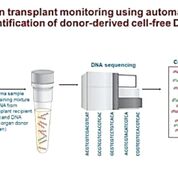 Imagen: Examen de sangre para la monitorización del trasplante de órganos mediante secuenciación de ADN (Fotografía cortesía del Instituto Nacional del Corazón, los Pulmones y la Sangre).
