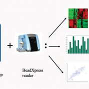 Imagen: Varios tipos de análisis de datos utilizando el módulo de metilación BeadStudio (Fotografía cortesía de Phoebe Lu).