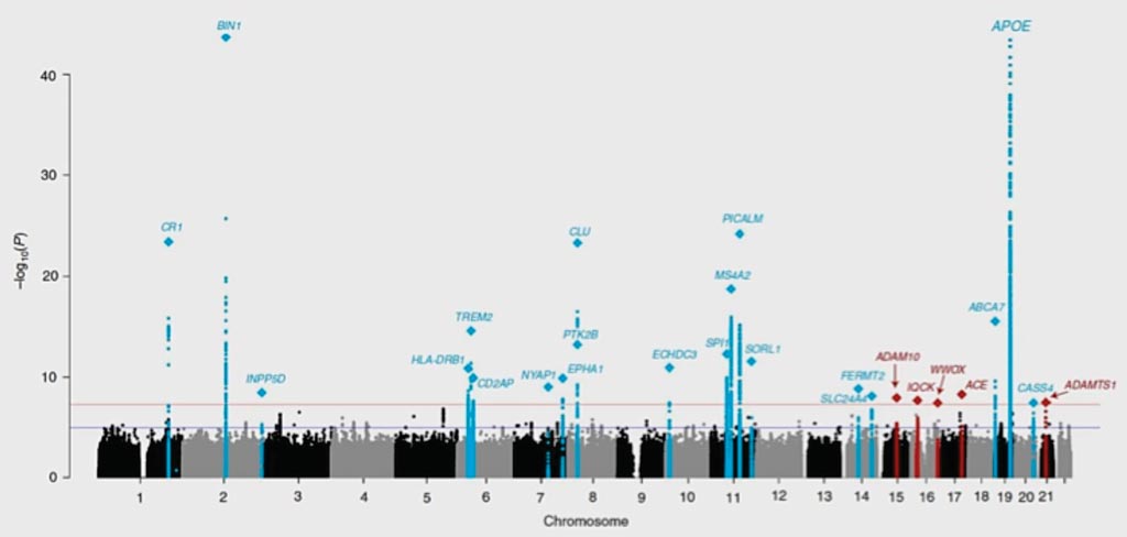 Imagen: Los genes recientemente identificados (rojos) y conocidos (azules) vinculados al aumento de la enfermedad de Alzheimer en esta tabla representan los resultados del análisis de asociación de todo el genoma de 94.437 individuos con Alzheimer de aparición tardía (Fotografía cortesía de Brian W. Kunkle, MD, PhD y colegas).