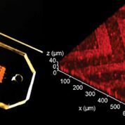 Imagen: El chip microfluídico tridimensional (3D) con nanopatrones en espiga que puede detectar el cáncer con más rapidez (Fotografía cortesía de la Universidad de Kansas).