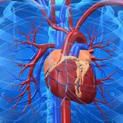 Imagen: Un análisis de sangre nuevo promete un diagnóstico casi instantáneo de un ataque cardíaco utilizando un biomarcador de proteínas descubierto recientemente (Fotografía cortesía de iStock). Imagen: Un análisis de sangre nuevo promete un diagnóstico casi instantáneo de un ataque cardíaco utilizando un biomarcador de proteínas descubierto recientemente (Fotografía cortesía de iStock).
