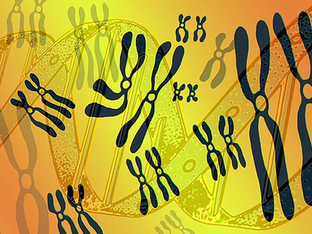 Una nueva investigación mostró que la prueba de cfADN fue capaz de identificar con exactitud las trisomías en los embarazos de mellizos (Fotografía cortesía de iStock). Una nueva investigación mostró que la prueba de cfADN fue capaz de identificar con exactitud las trisomías en los embarazos de mellizos (Fotografía cortesía de iStock).