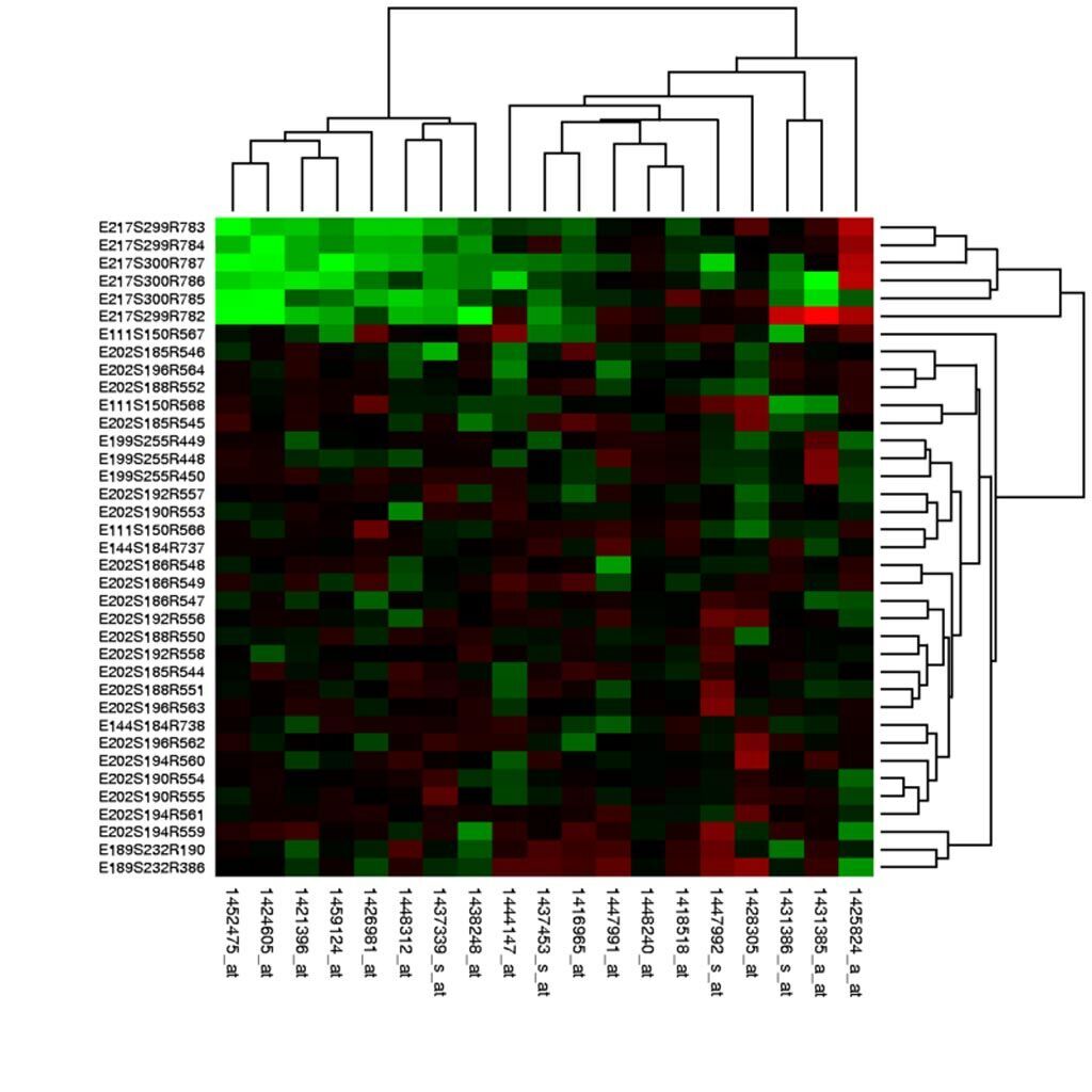 Imagen: Los valores de expresión génica de los experimentos de microarrays se pueden representar como mapas de calor para visualizar el resultado del análisis de datos (Fotografía cortesía de Wikimedia Commons).