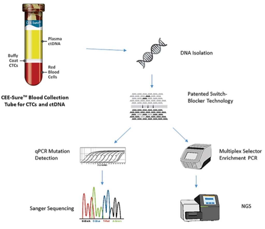 Imagen: Diagrama de la plataforma Selector de Objetivos para el cADN con sensibilidad de detección de copia única para mutaciones de EGFR, BRAF y KRAS clínicamente accionables (Fotografía cortesía de Biocept Inc).