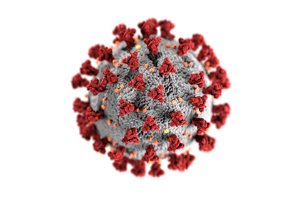 Imagen: Ilustración de un virión del nuevo coronavirus (nCoV) 2019 (Fotografía cortesía de Alissa Eckert, MS/CDC).