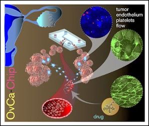 Imagen: Diagrama esquemático del microsistema OvCa-Chip que recrea la extravasación de plaquetas mediada por el endotelio vascular en el cáncer de ovario (Fotografía cortesía de la Facultad de Ingeniería de Texas A&M).