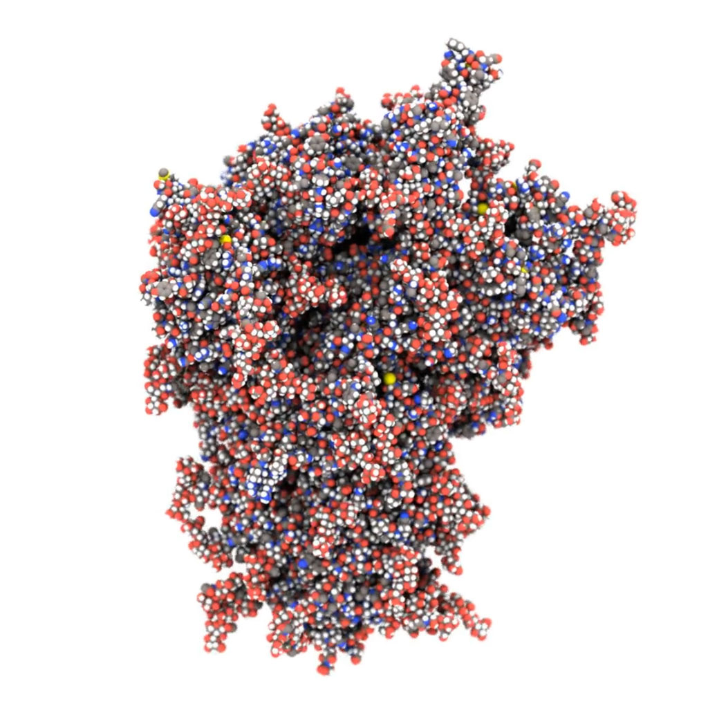 Imagen: Modelado biomolecular de la proteína Spike de la COVID-19 (Fotografía cortesía de CSIRO)