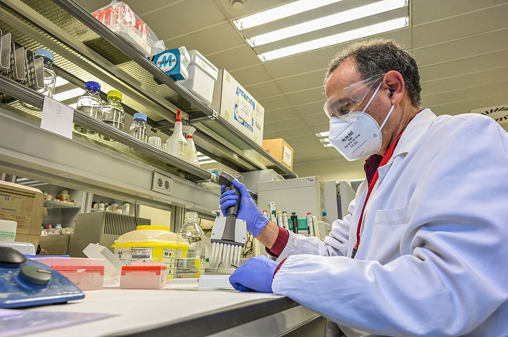 Imagen: Nueva prueba inmunológica tipo ELISA estudia la seroprevalencia contra el SARS-CoV-2 (Fotografía cortesía de la Universidad Politécnica de Valencia)