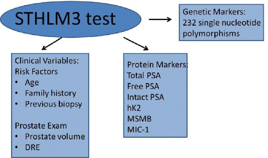 Imagen: La nueva prueba Stockholm3 (STHLM3) en sangre refuerza la detección del cáncer de próstata mediante resonancia magnética (Fotografía cortesía de Julie-Ann O\'Reilly, PhD)