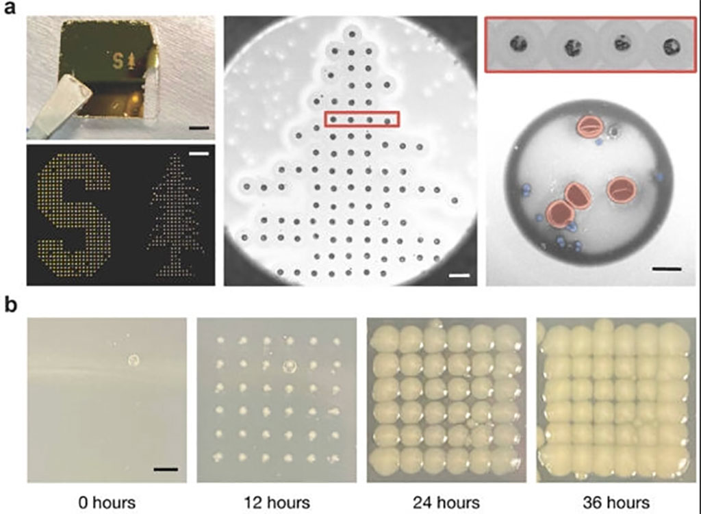 Imagen: Detalles de los puntos impresos en un portaobjetos recubiert de oro (Fotografía cortesía de la Universidad de Stanford)