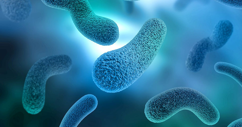 Imagen: El proyecto de investigación conjunta tiene como objetivo descubrir biomarcadores de microbiomas específicos de enfermedades (Fotografía cortesía de Microba Life Sciences) Imagen: El proyecto de investigación conjunta tiene como objetivo descubrir biomarcadores de microbiomas específicos de enfermedades (Fotografía cortesía de Microba Life Sciences)