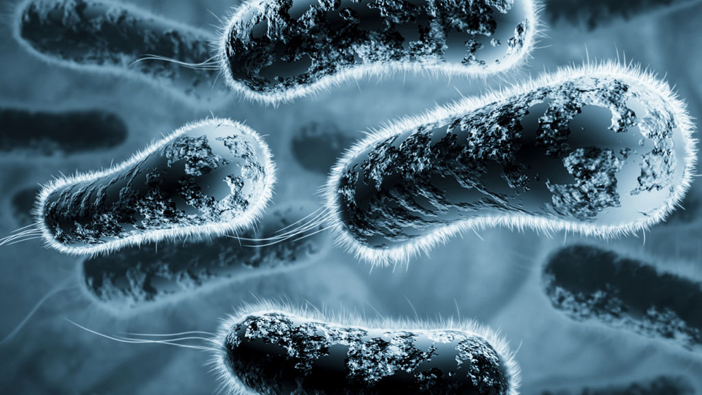 Imagen: La prueba de diagnóstico rápida podría identificar el antibiótico correcto para el tratamiento de infección en menos de una hora (Fotografía cortesía de Microplate Dx)