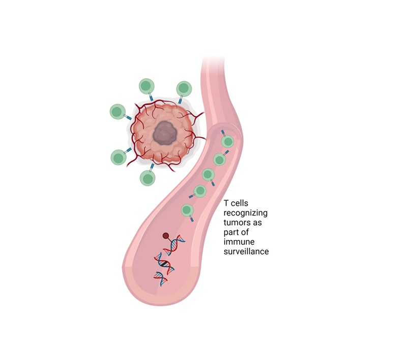 Imagen: El nuevo enfoque de biopsia de líquido utiliza  vigilancia tumoral del cuerpo por las células T para detectar el cáncer (foto cortesía de Serum Detect)