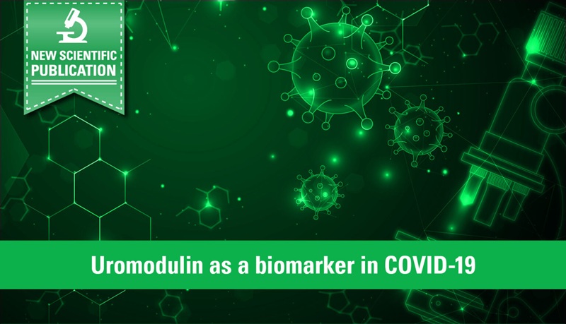 Imagen: la uromodulina sérica se ha asociado con la función renal y el resultado en pacientes hospitalizados con COVID-19 (foto cortesía de EUROIMMUN)