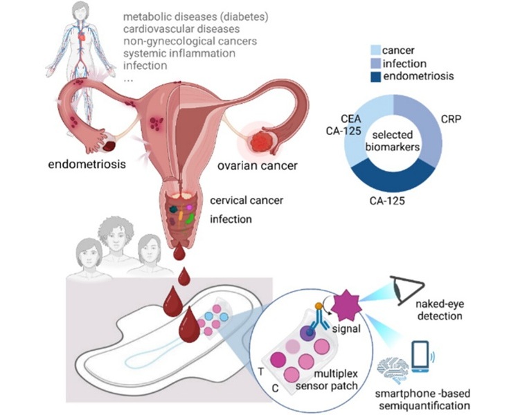 Imagen: concepto de biosensor integrado en almohadillas de higiene que permiten un análisis semicuantitativo directo de biomarcadores en sangre de menstruación sin procesar (foto cortesía de Dosnon, L et al. DOI: 10.1002/advs.202505170) Imagen: concepto de biosensor integrado en almohadillas de higiene que permiten un análisis semicuantitativo directo de biomarcadores en sangre de menstruación sin procesar (foto cortesía de Dosnon, L et al. DOI: 10.1002/advs.202505170)
