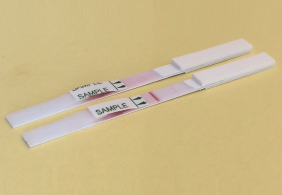 Imagen: Un prototipo de la prueba de flujo lateral (Foto cortesía de la Universidad de Exeter) Imagen: Un prototipo de la prueba de flujo lateral (Foto cortesía de la Universidad de Exeter)